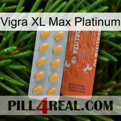 Vigra Xl Max Platinum 43